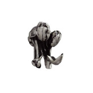 Крючок для полотенец Art&Max Tulip AM-0822-T (AM-B-0822-T)