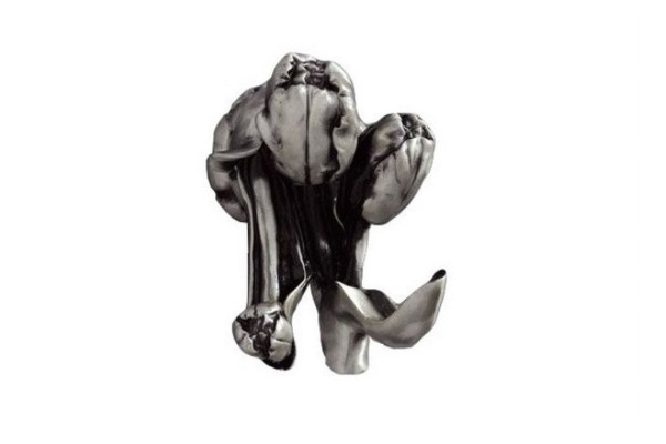 Крючок для полотенец Art&Max Tulip AM-0822-T (AM-B-0822-T)