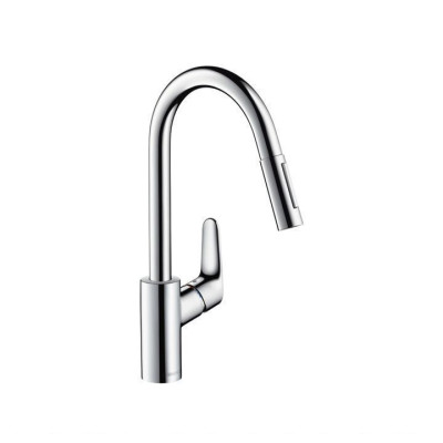 Смеситель для кухни Hansgrohe Focus 31815000